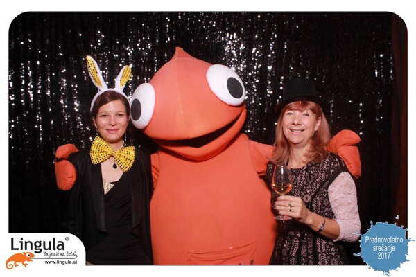 Lingulina prednovoletna zabava 2017