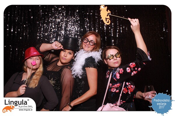 Lingulina prednovoletna zabava 2017