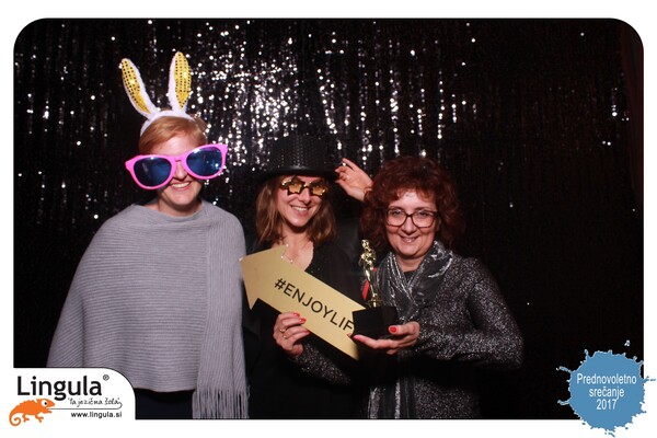 Lingulina prednovoletna zabava 2017