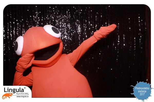 Lingulina prednovoletna zabava 2017