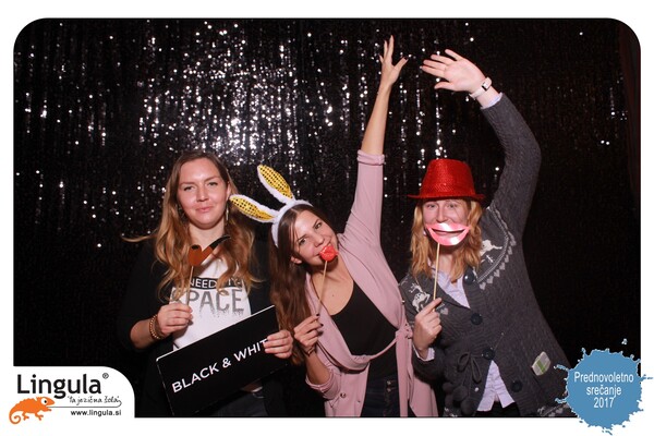 Lingulina prednovoletna zabava 2017
