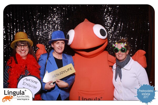 Lingulina prednovoletna zabava 2017