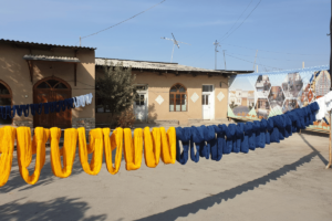 Lingula I Potovanje Uzbekistan Ferganska dolina