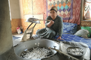 Lingula I Potovanje Uzbekistan Ferganska dolina