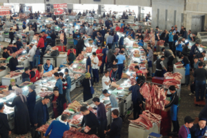 Lingula I Potovanje Uzbekistan Taskhent