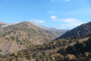 Lingula I Potovanje Uzbekistan Taskhent